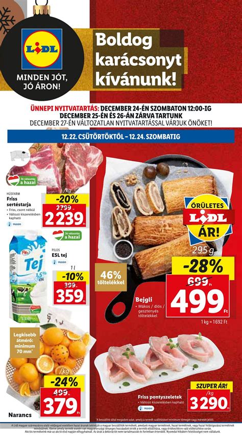 Lidl Törökszentmiklós akciós újság 2024.12.12.